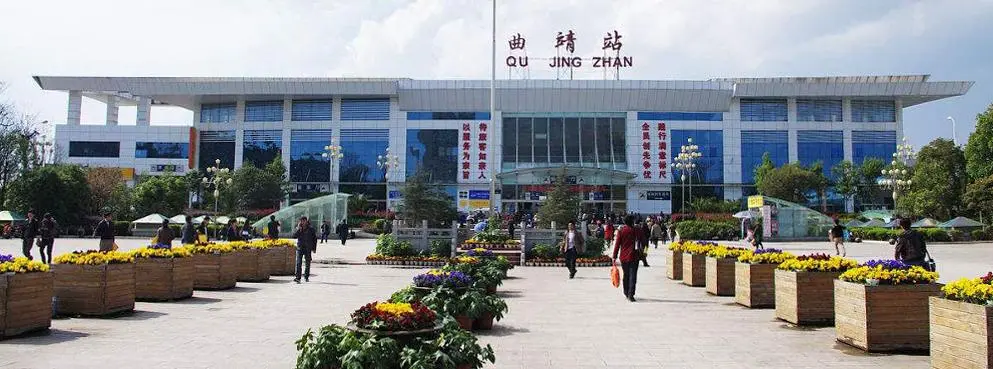 東莞到曲靖物流公司專線-大件運輸物流公司「食品運輸」2025排名一覽